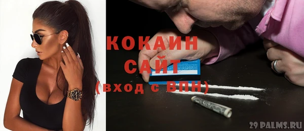 PSILOCYBIN Рославль