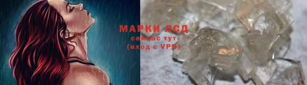 PSILOCYBIN Рославль