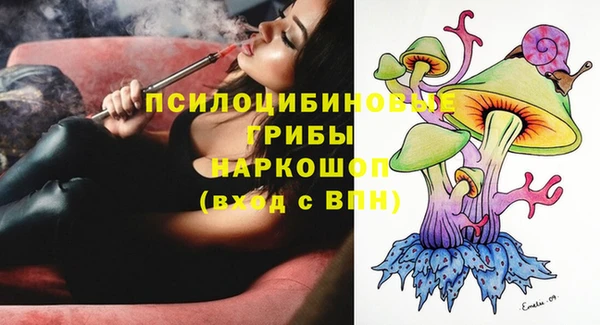 PSILOCYBIN Рославль