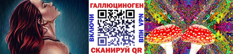 Галлюциногенные грибы Psilocybine cubensis  сайты даркнета клад  Сосенский 